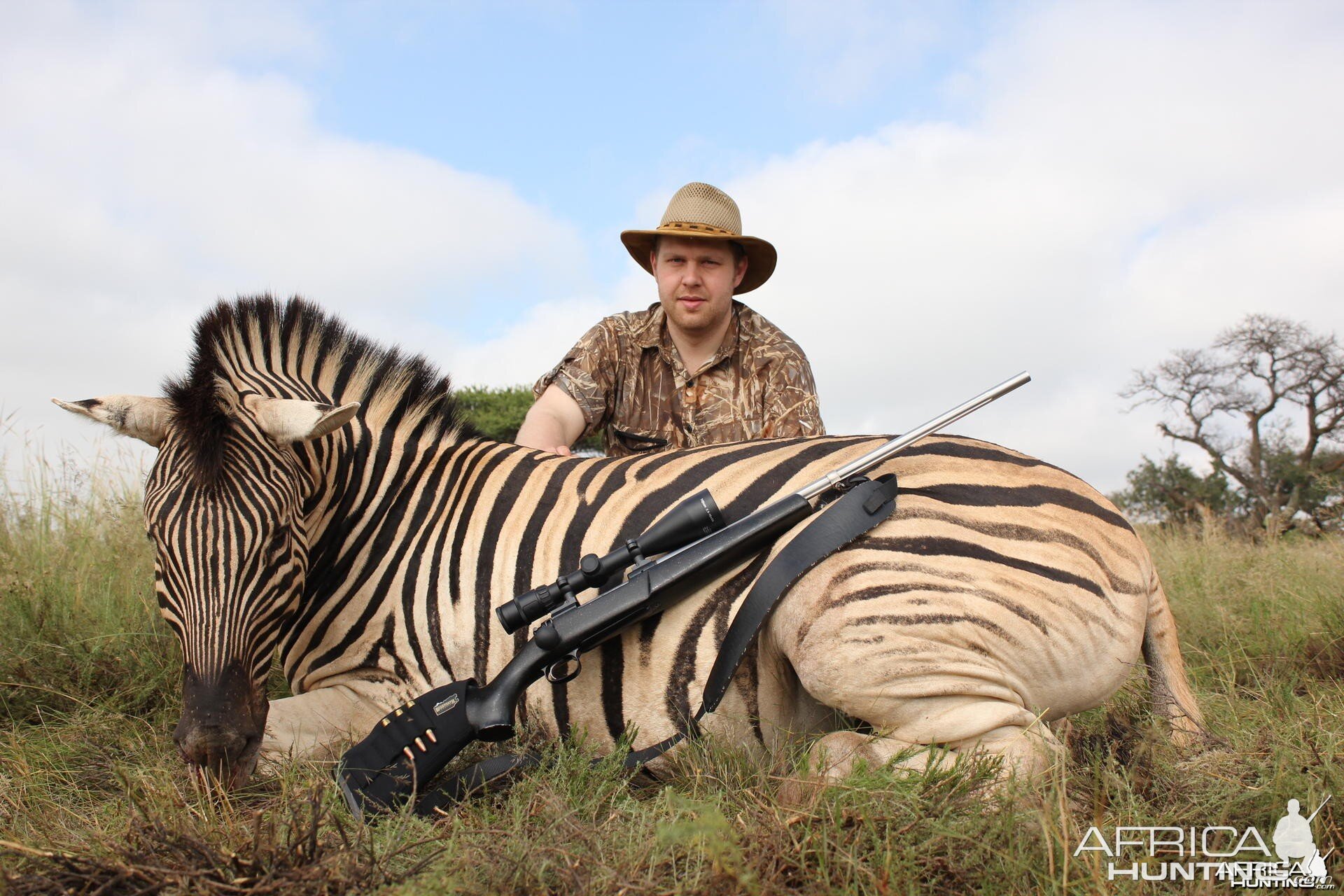 Hunting Zebra Kimberley South Africa