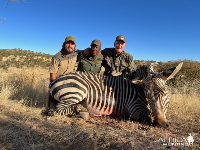 Hunting Zebra Namibia