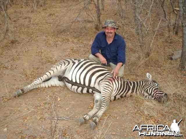 Hunting Zebra