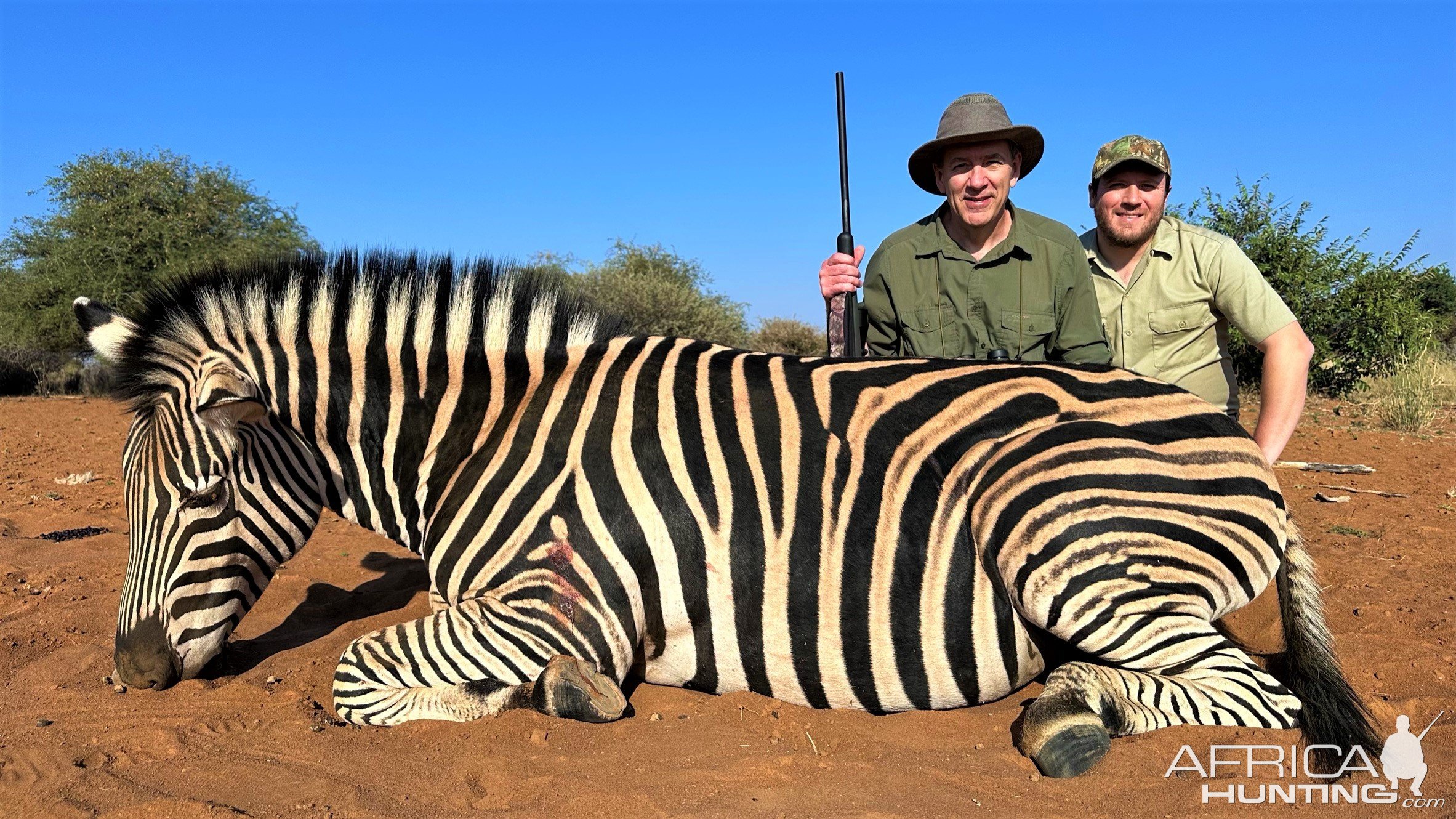 Hunting Zebra