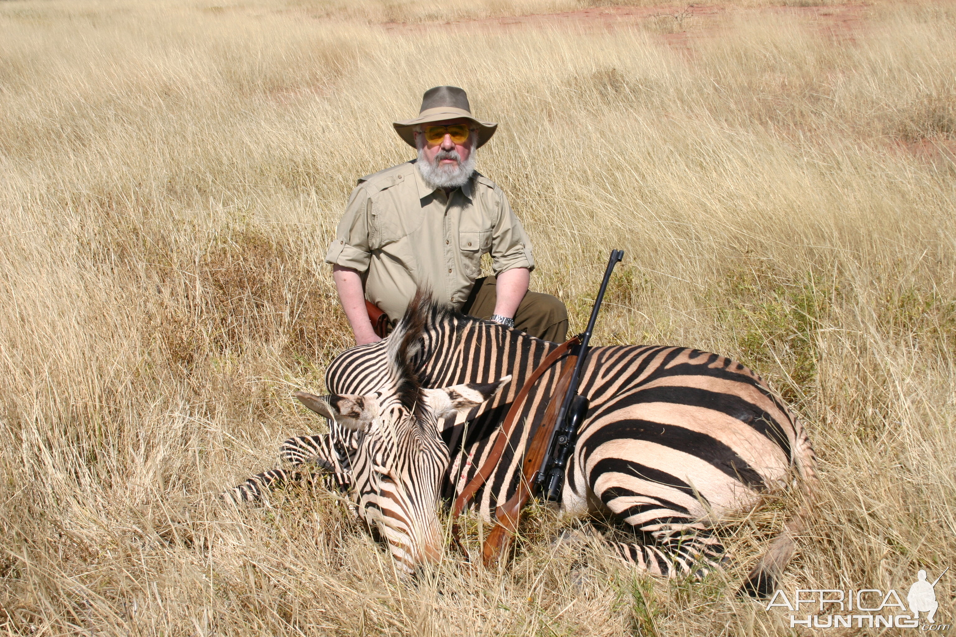 Hunting Zebra