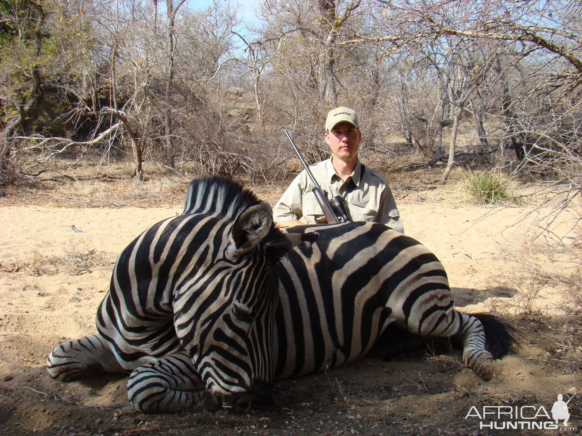 Hunting Zebra