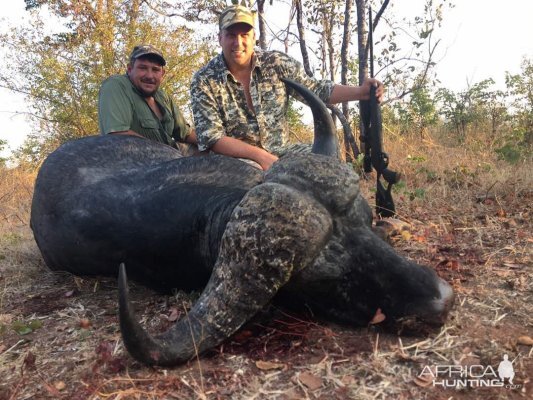 Hunting Zimbabwe Buffalo