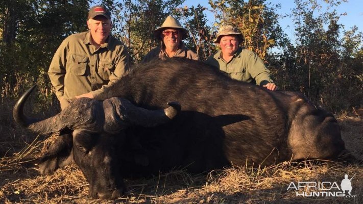 Hunting Zimbabwe Buffalo