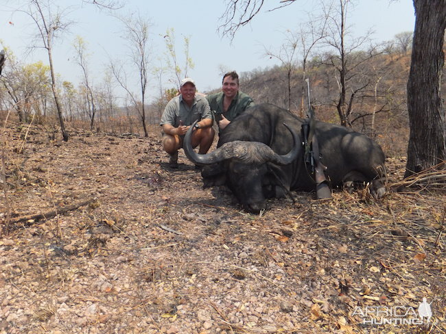 Hunting Zimbabwe Cape Buffalo