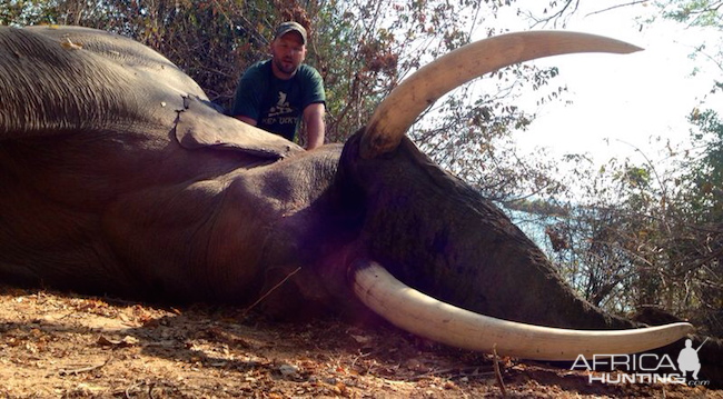 Hunting Zimbabwe Elephant