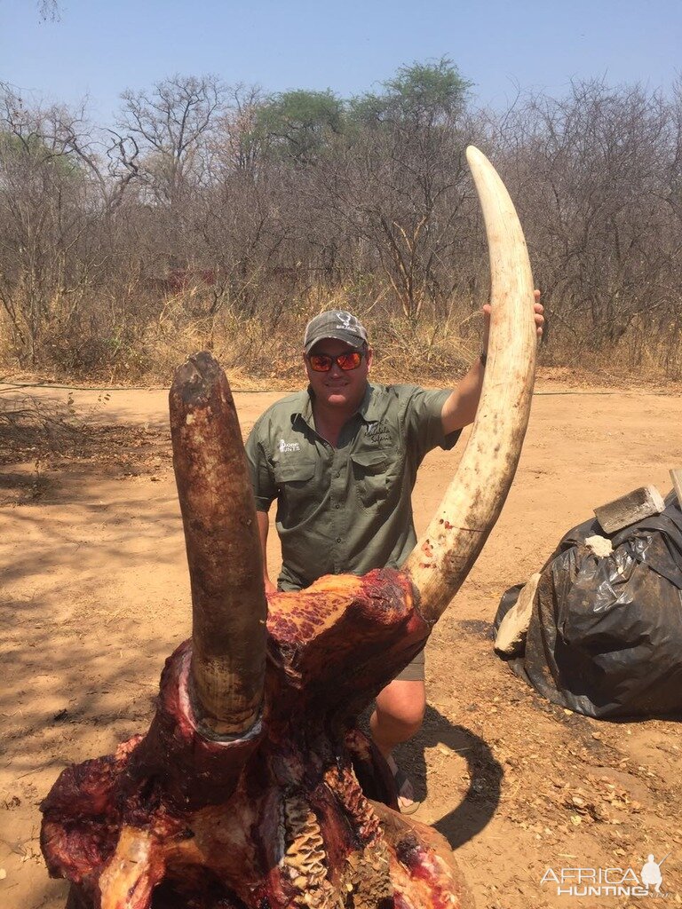 Hunting Zimbabwe Elephant