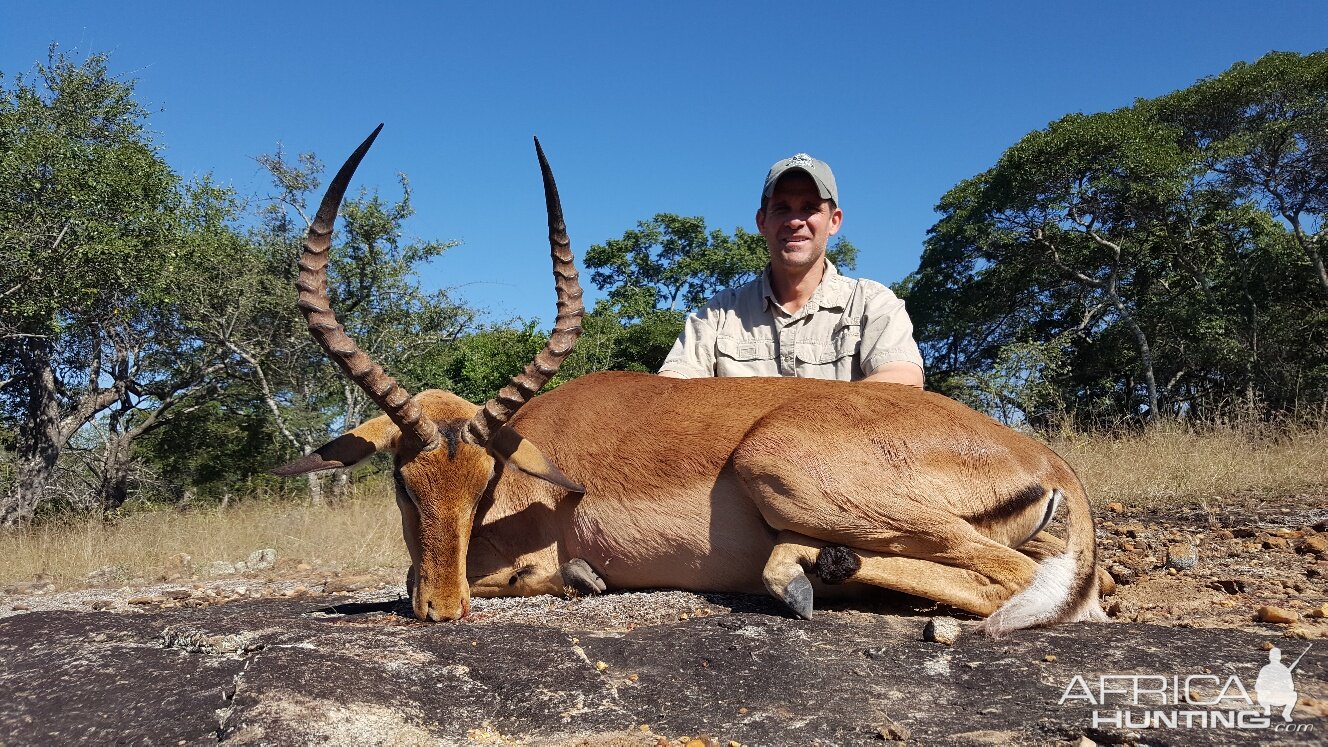 Hunting Zimbabwe Impala