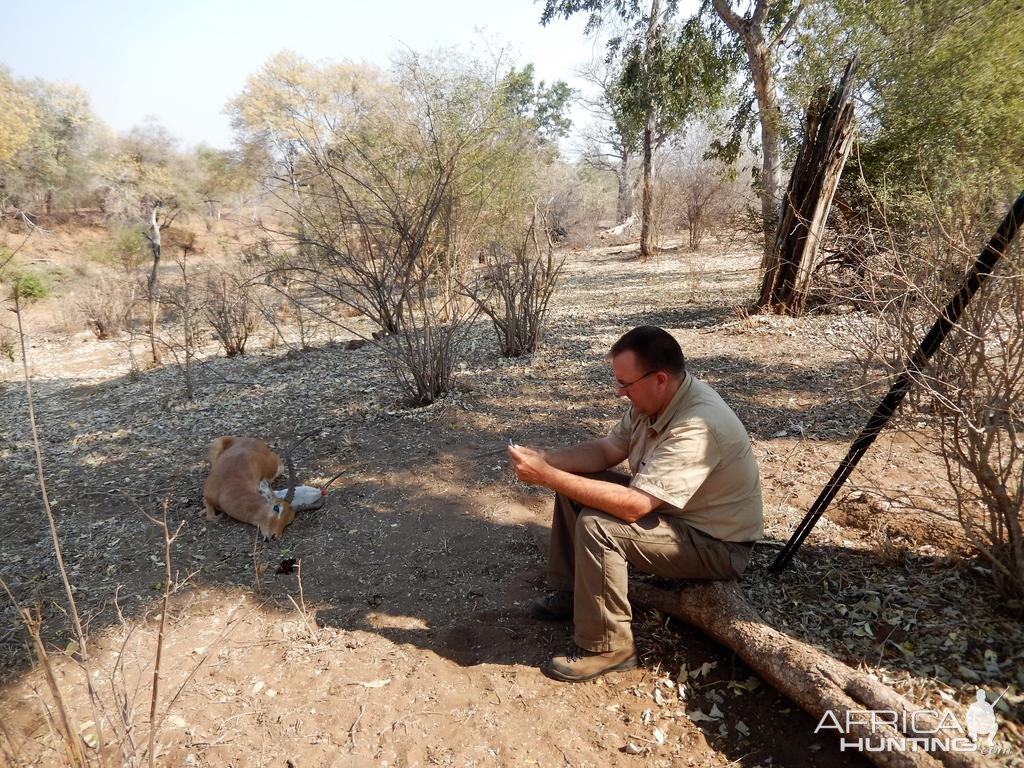 Hunting Zimbabwe Impala