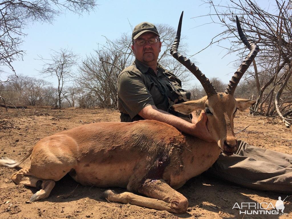 Hunting Zimbabwe Impala