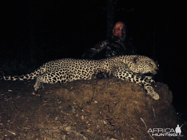 Hunting Zimbabwe Leopard