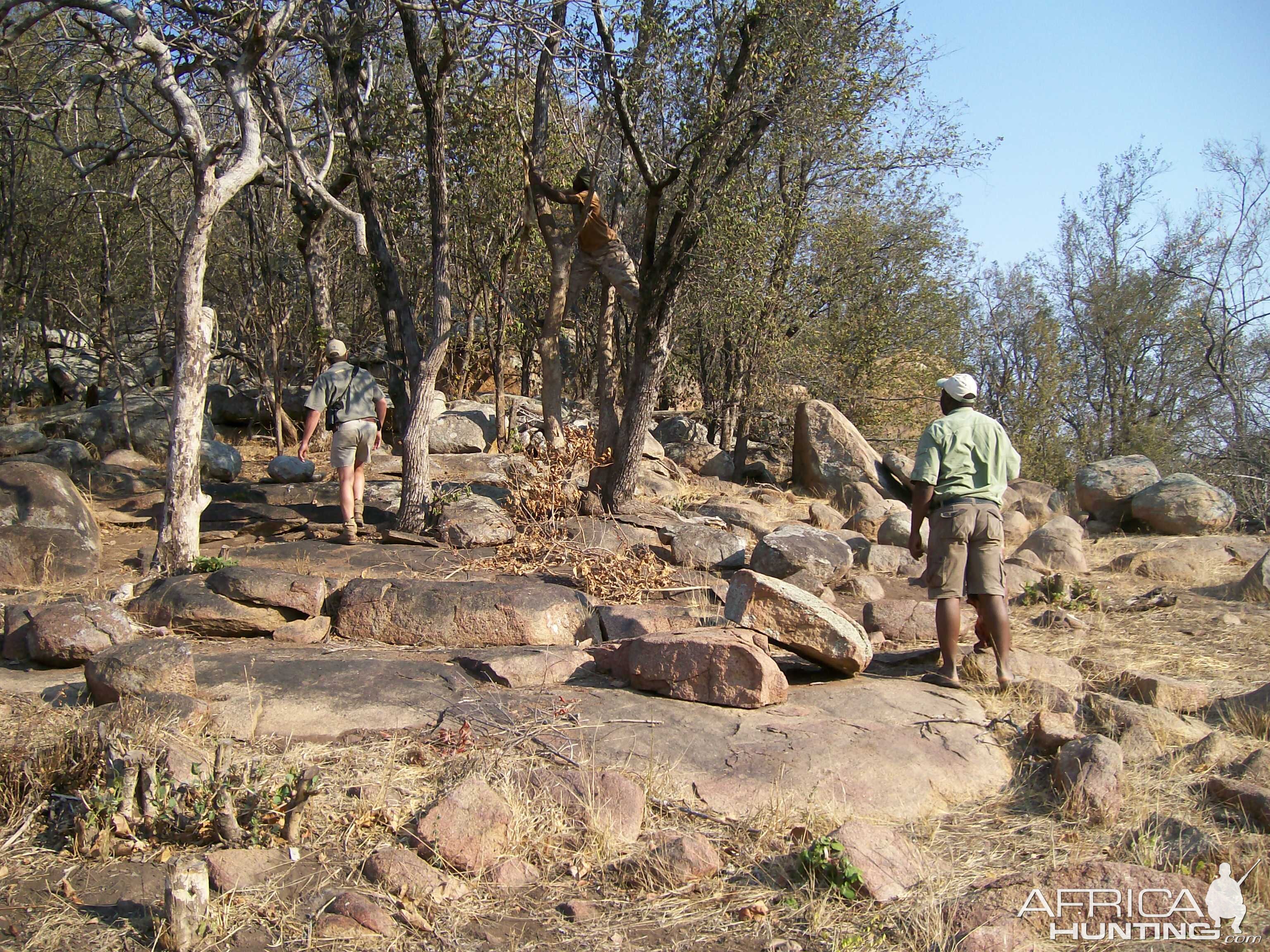 Hunting Zimbabwe