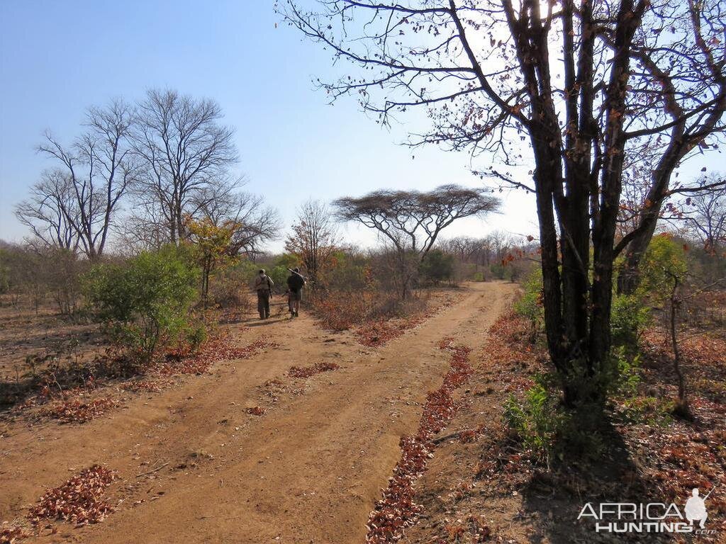 Hunting Zimbabwe