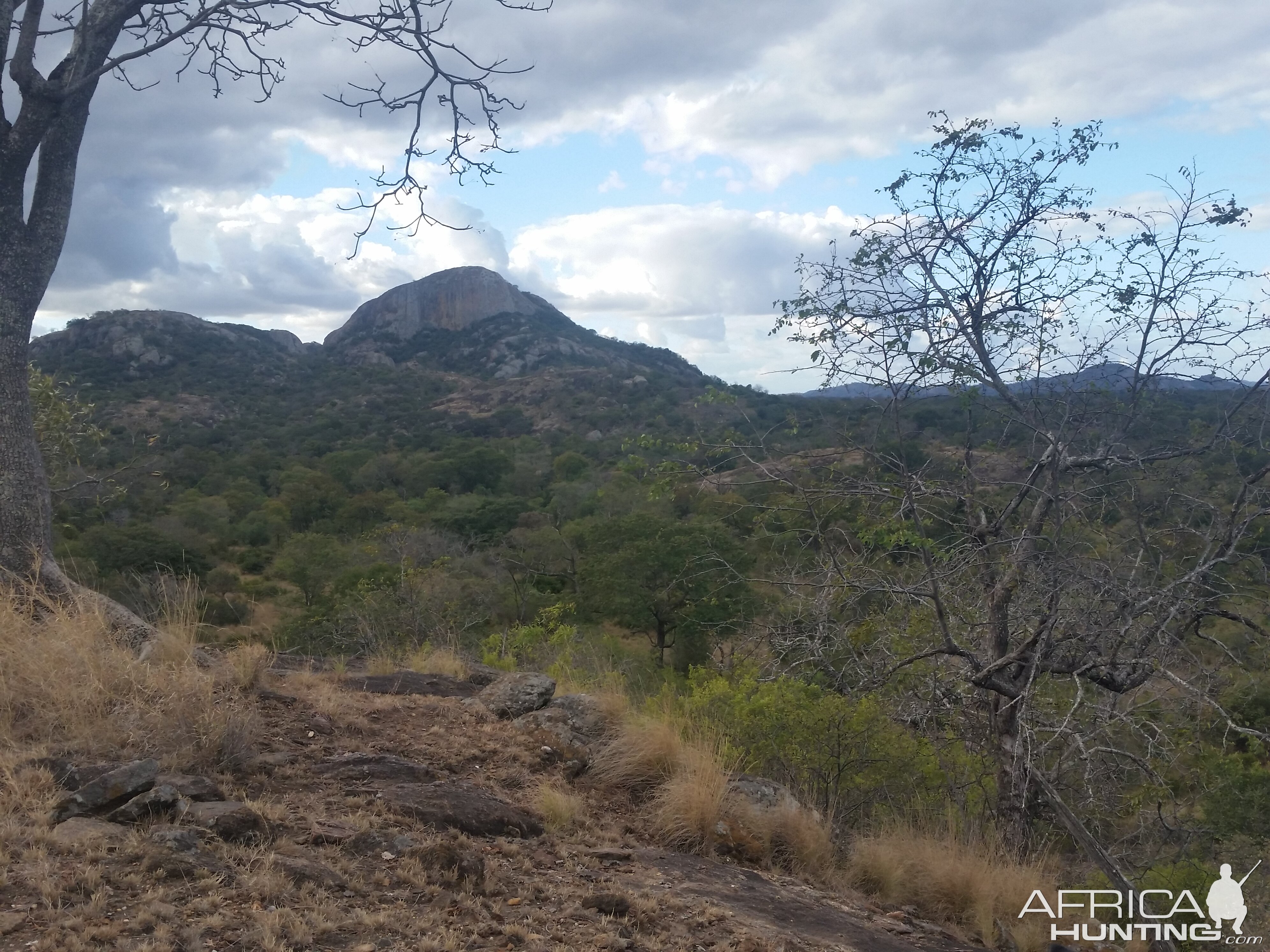 Hunting Zimbabwe