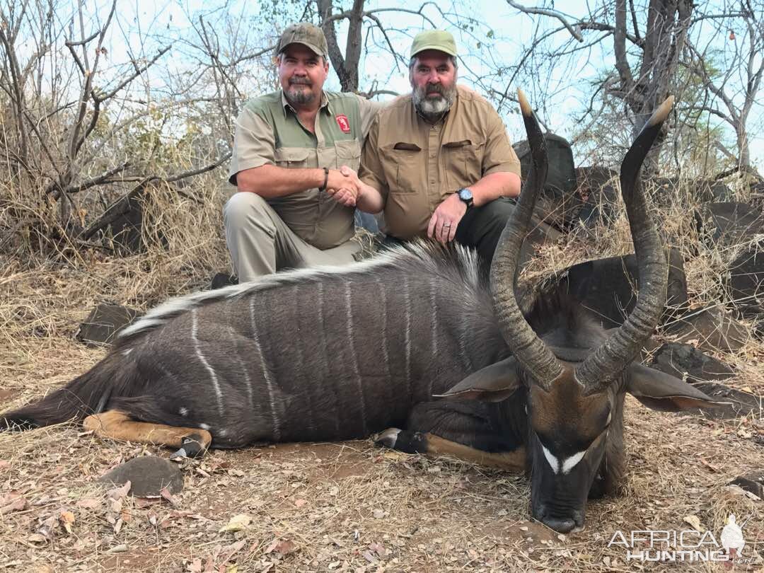 Huntng Nyala  in Zimbabwe