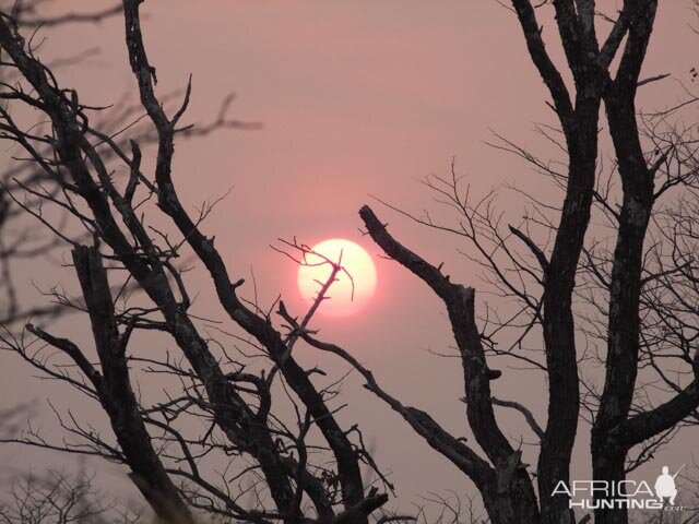 Hwange Sunset