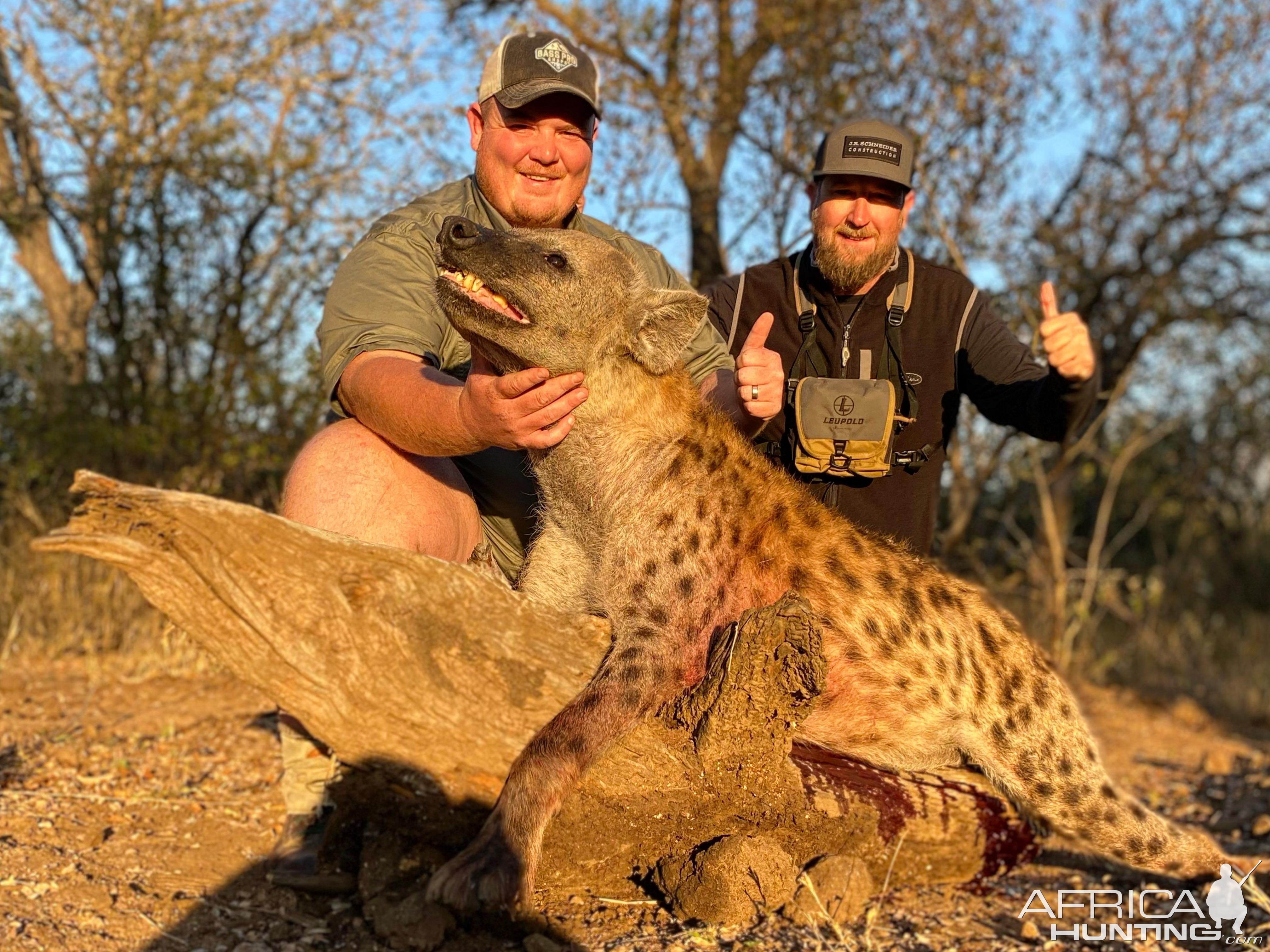 Hyena Hunt South Africa