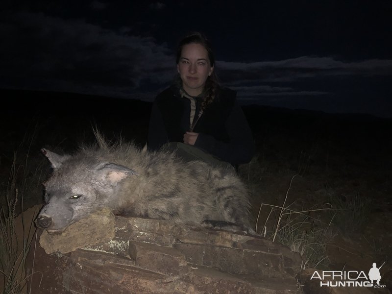 Hyena Hunting Karoo South Africa