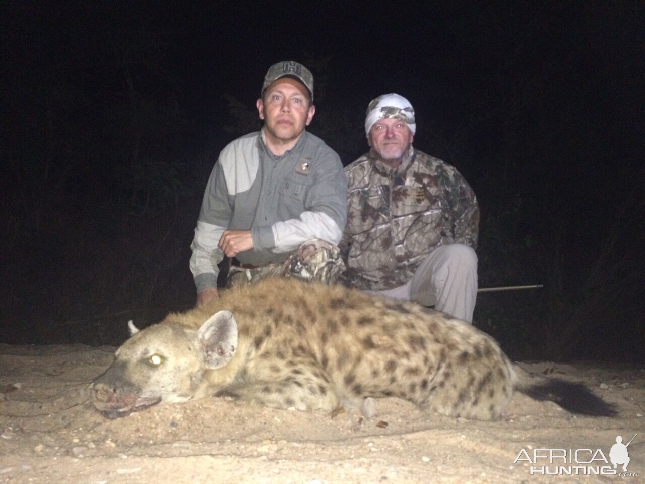 Hyena Zimbabwe Hunting