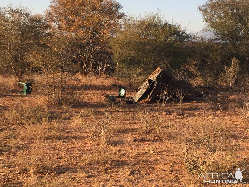 Hyenas not happy with our placement of the blind