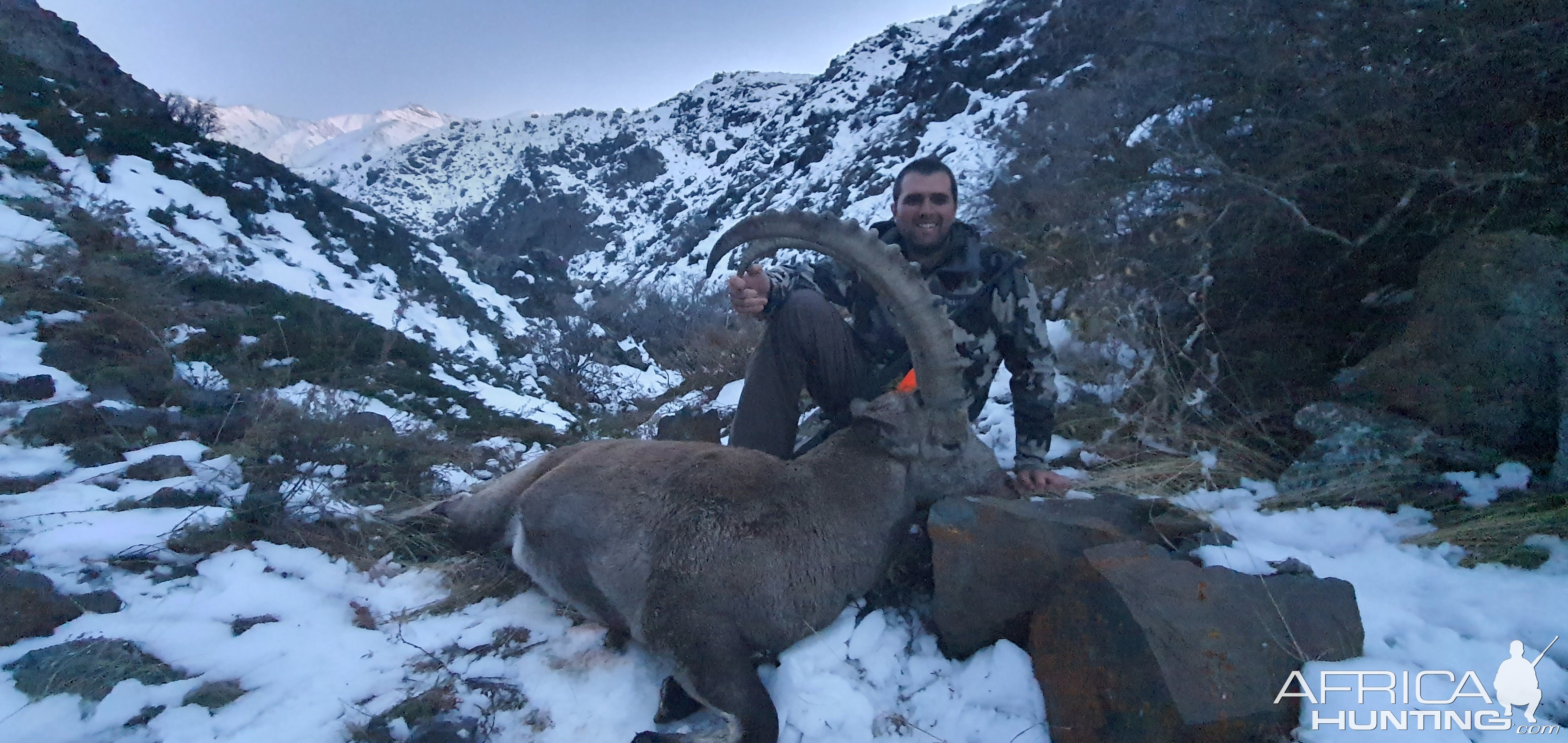 Ibex Hunt Kazakhstan