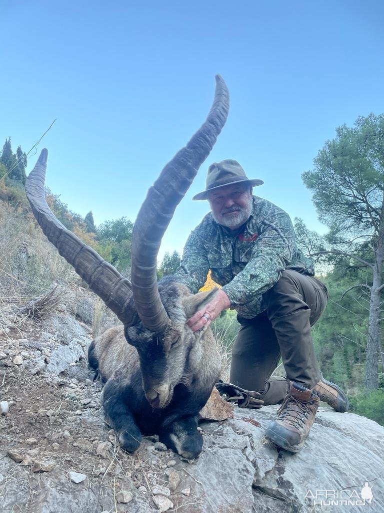 Ibex Hunt Spain