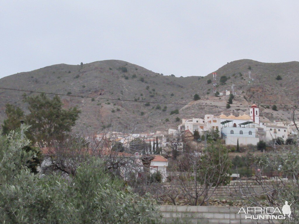 Ibex Hunt Spain