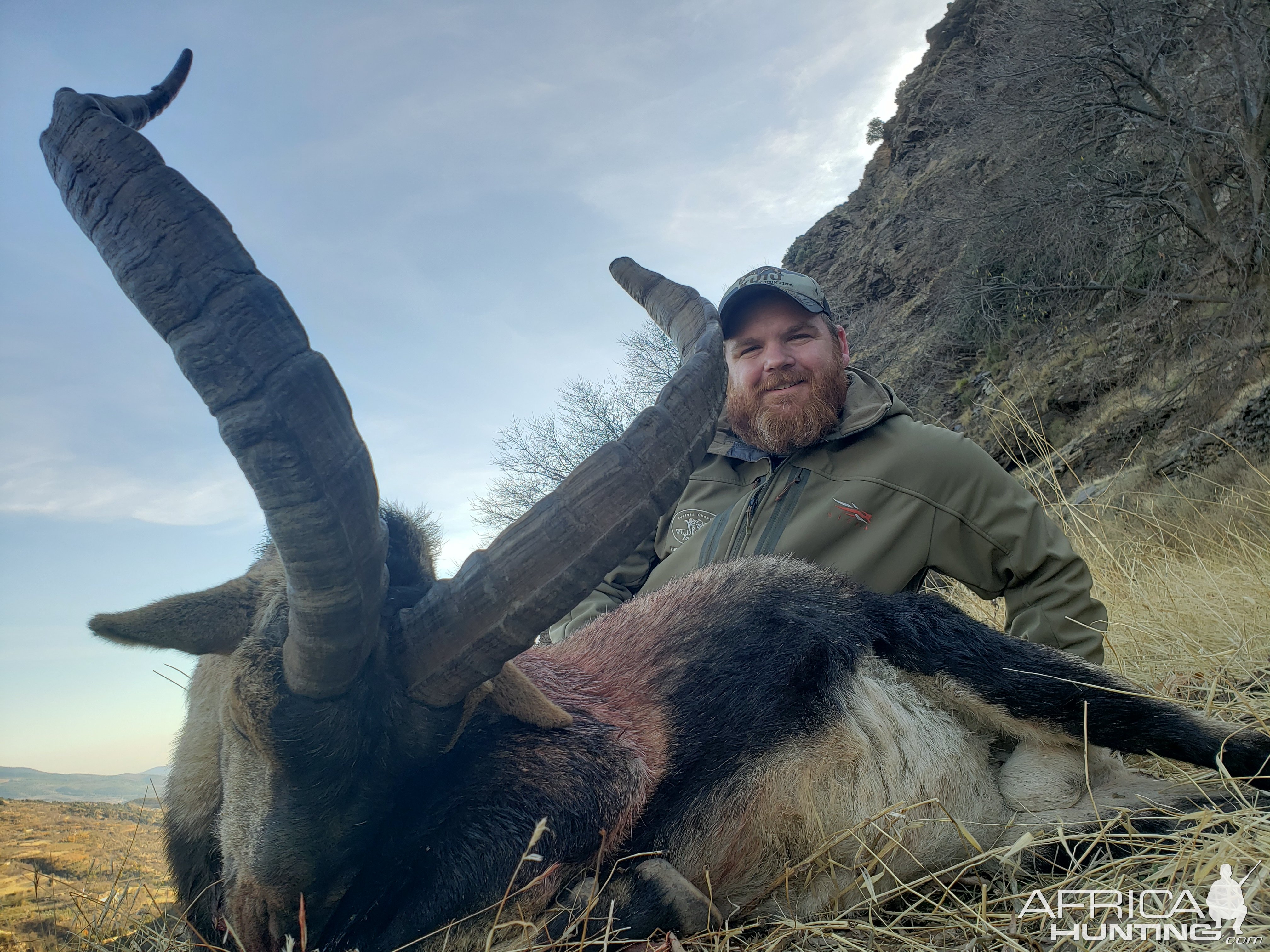 Ibex Hunting Spain