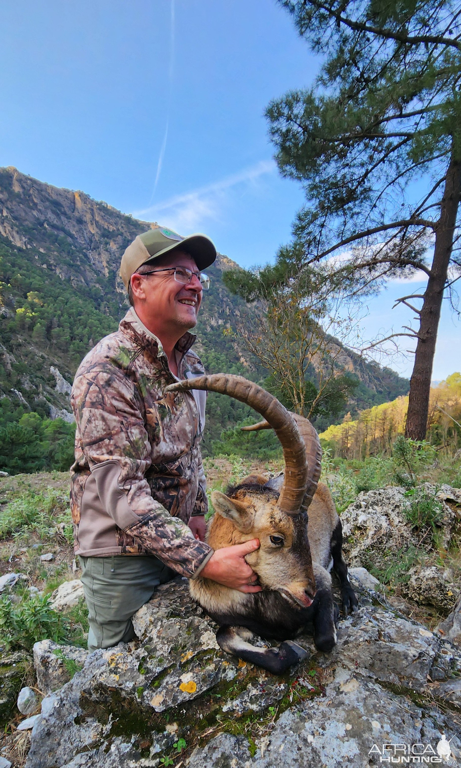 Ibex Hunting Spain