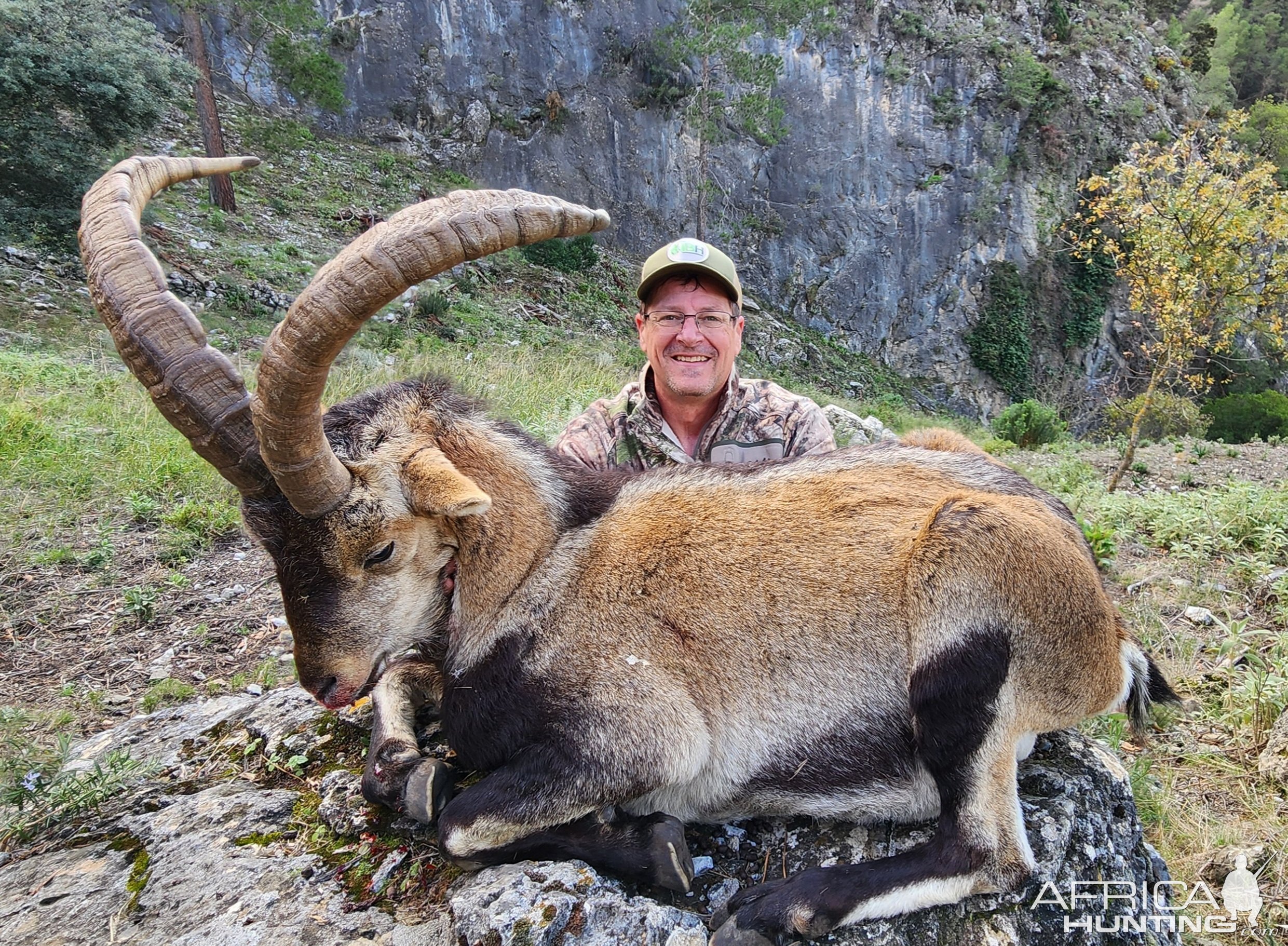 Ibex Hunting Spain