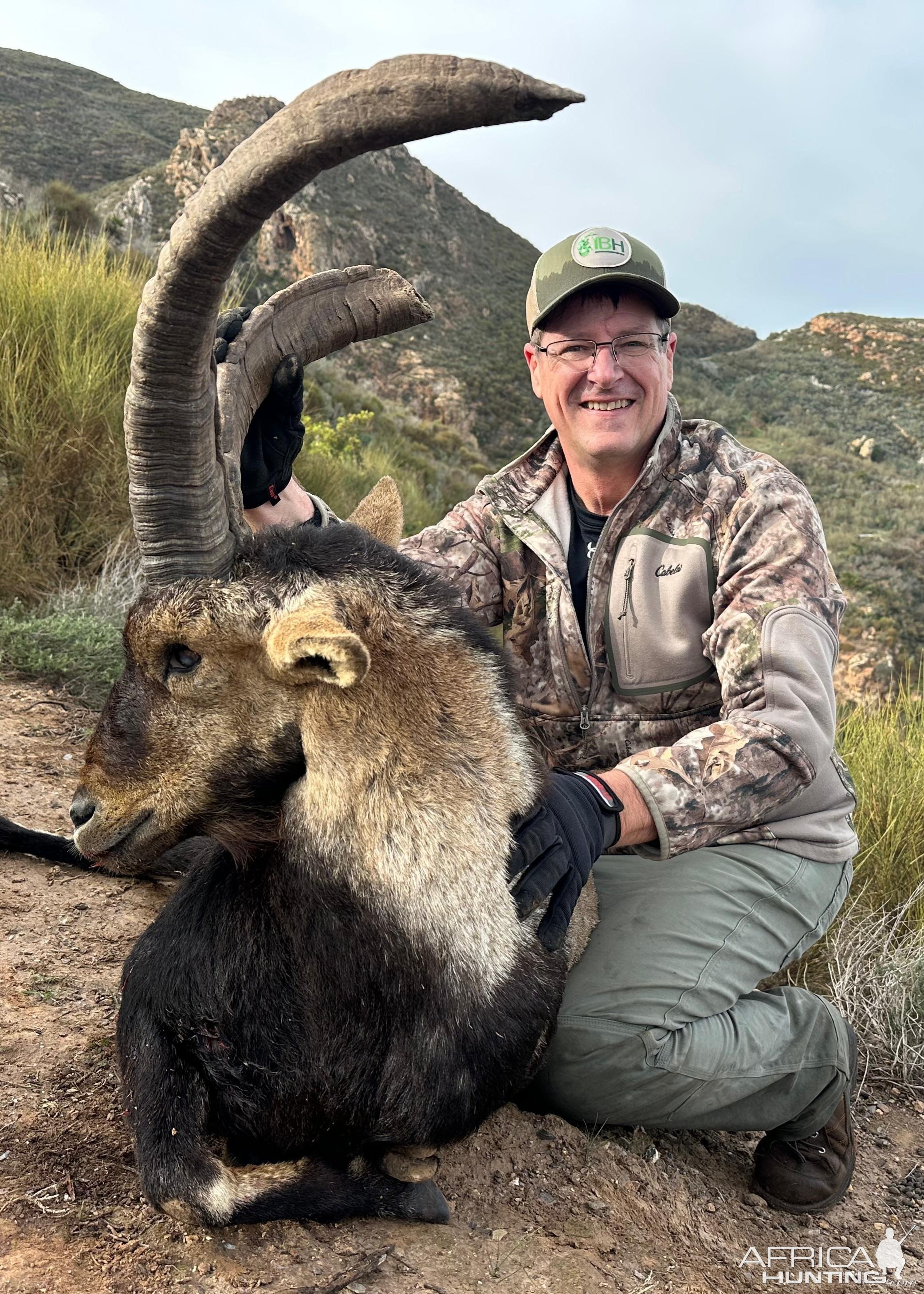 Ibex Hunting Spain