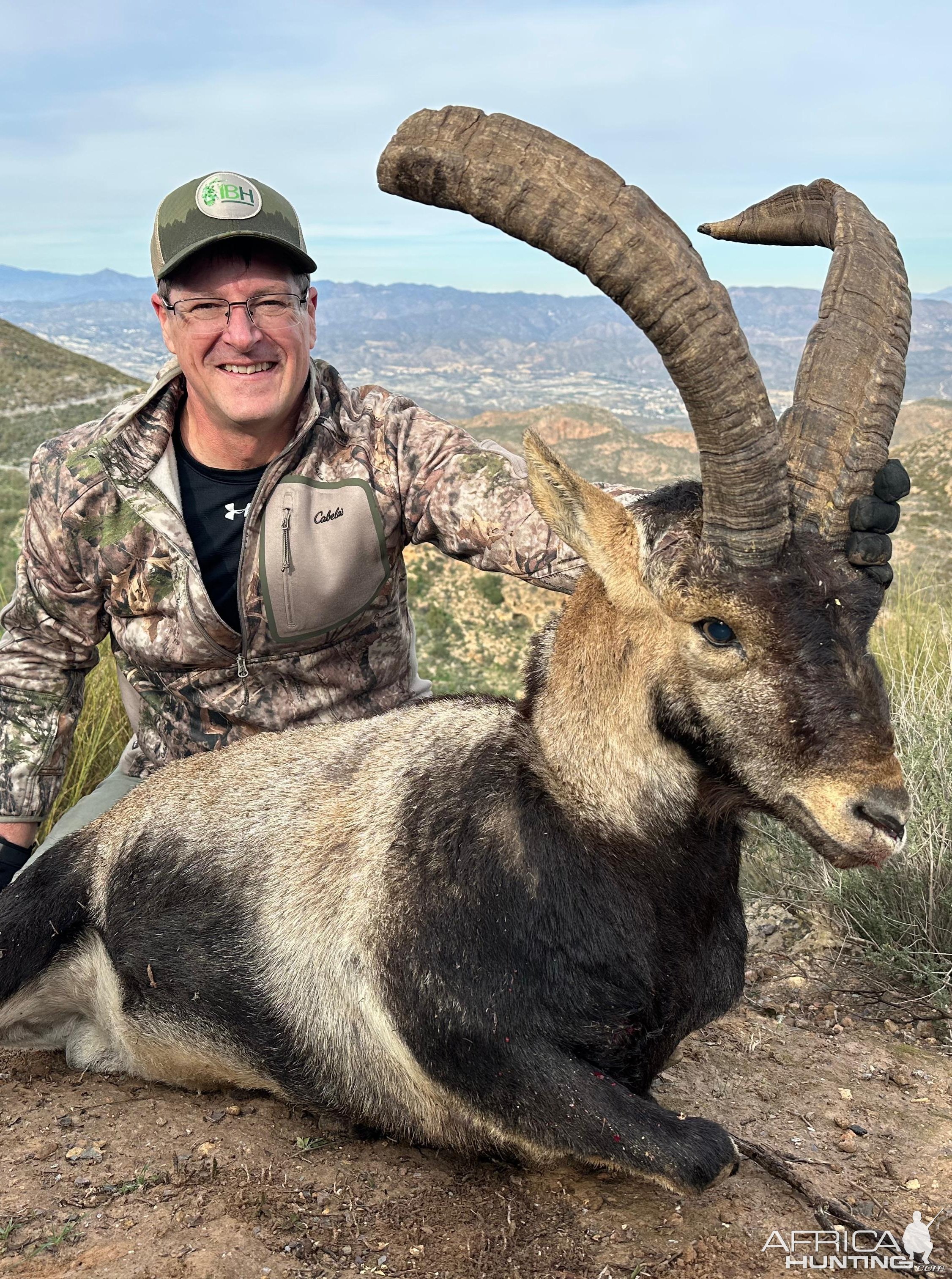 Ibex Hunting Spain