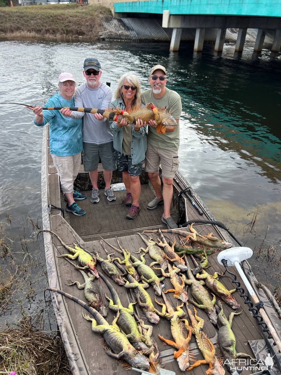 Iguana Hunting Florida