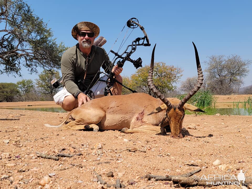 Impala Bow Hunt South Africa