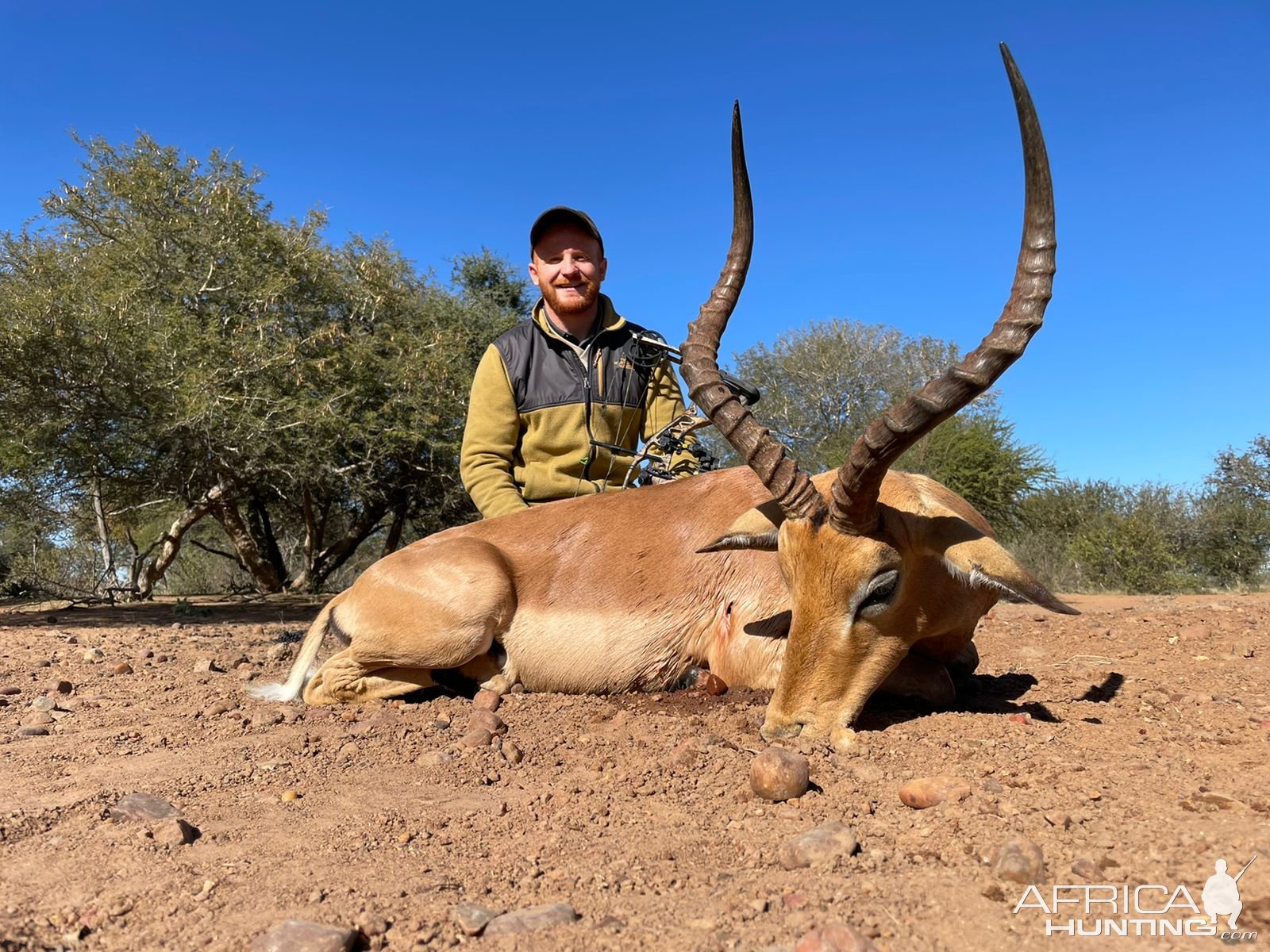 Impala Bow Hunt South Africa