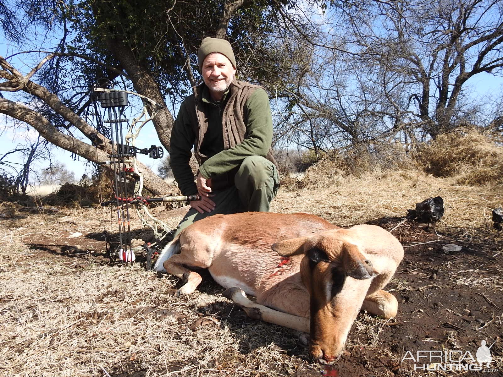 Impala Bow Hunt South Africa