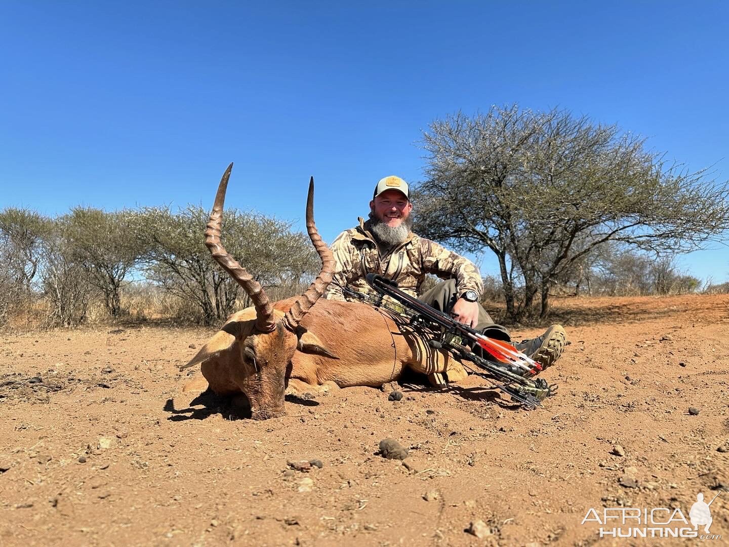 Impala Bow Hunt South Africa