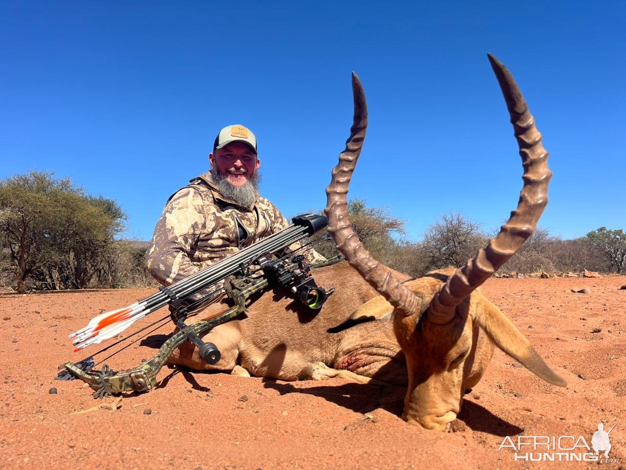 Impala Bow Hunt South Africa