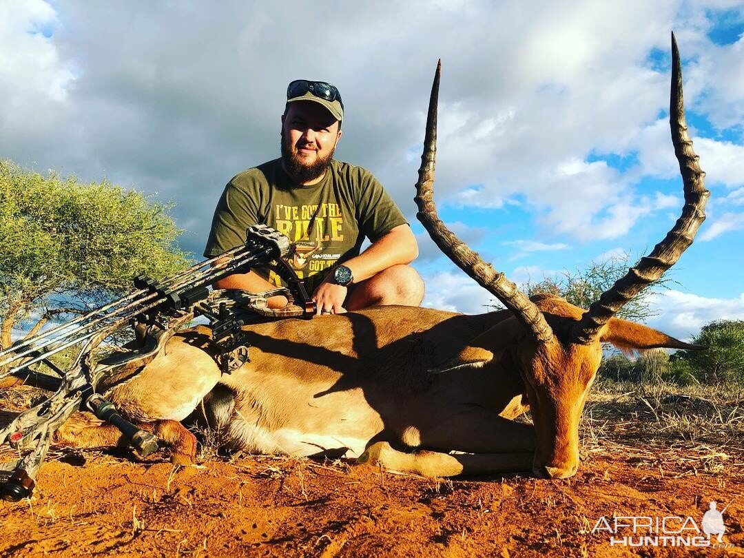 Impala Bow Hunt South Africa