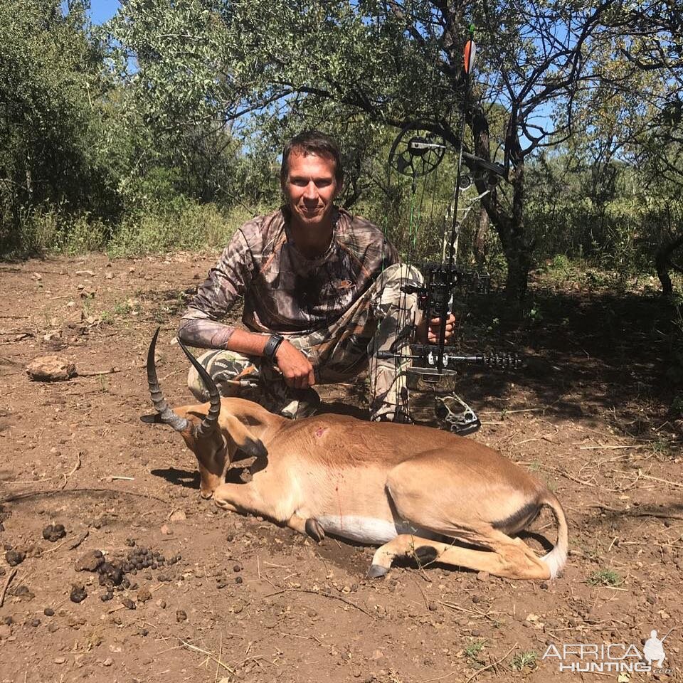 Impala Bow Hunt South Africa