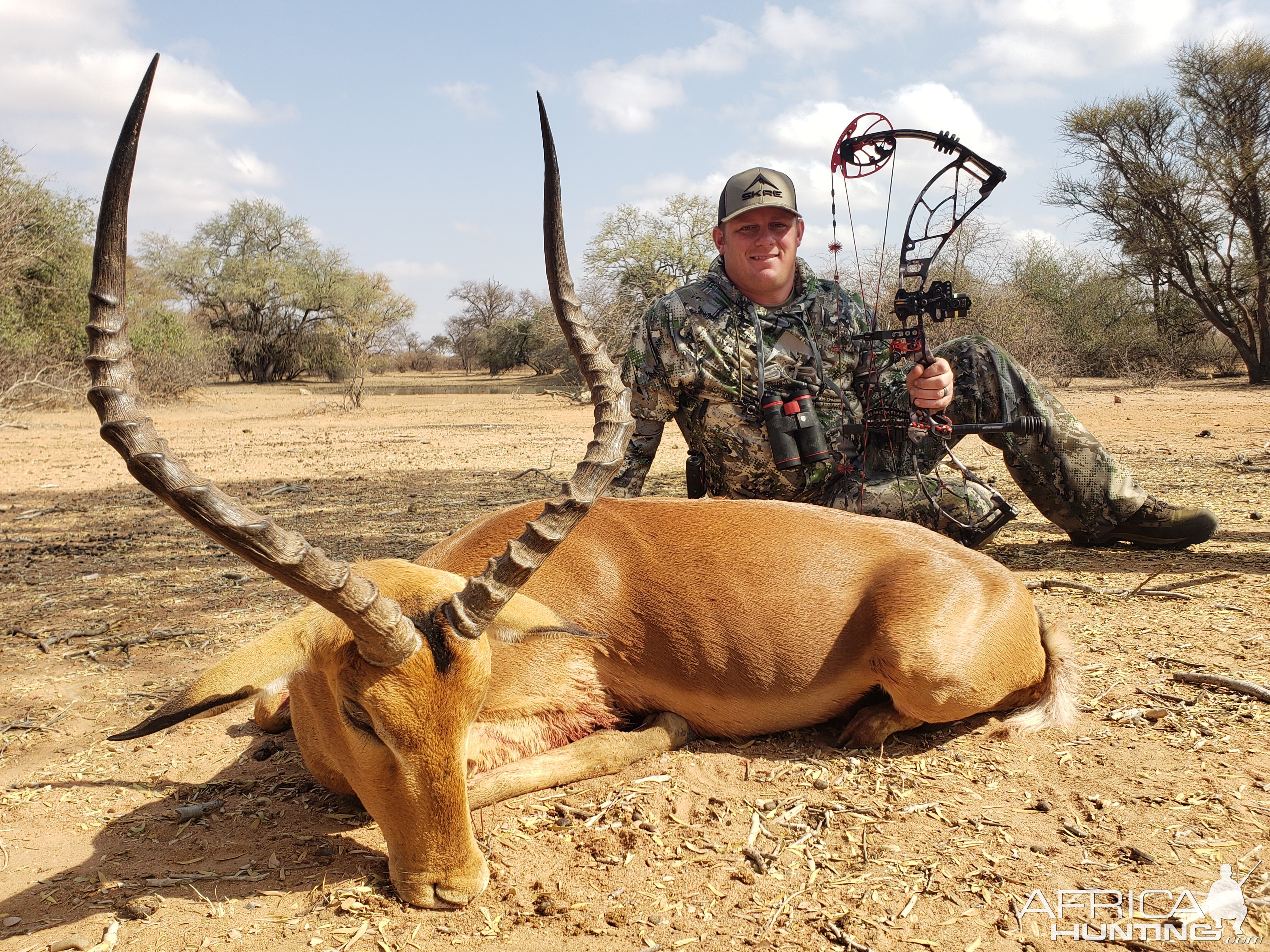 Impala Bow Hunt South Africa