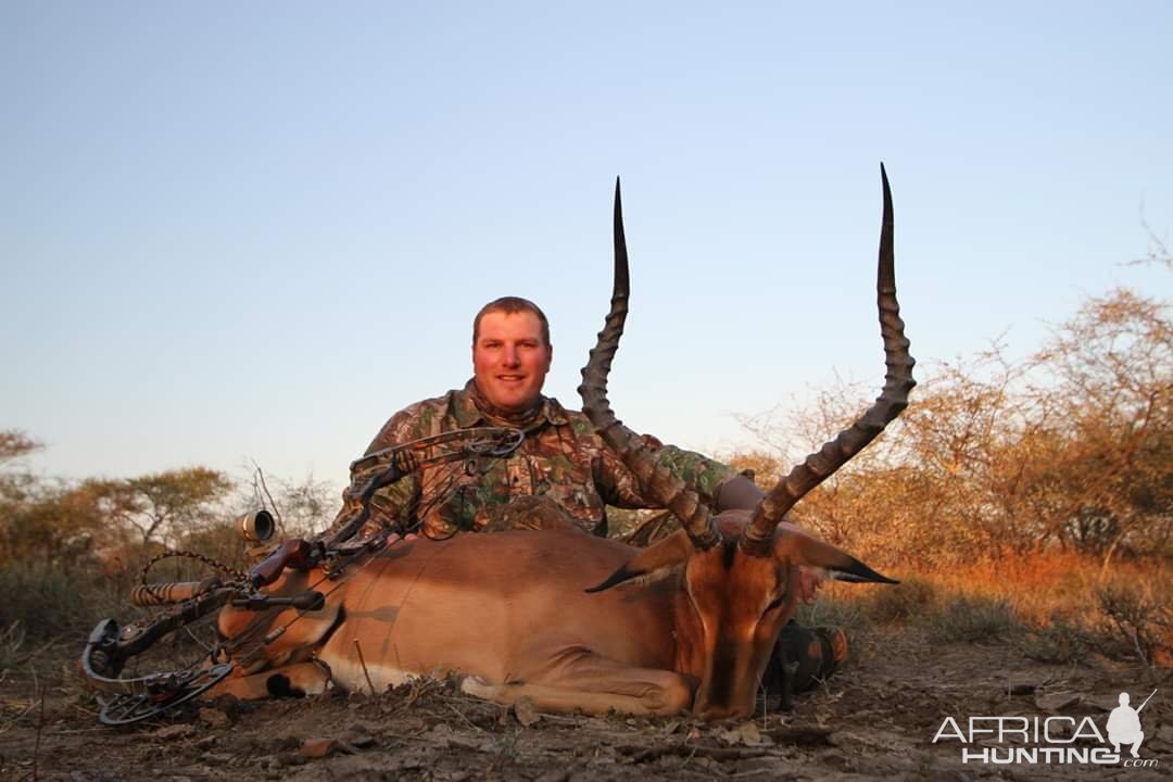 Impala Bow Hunt South Africa