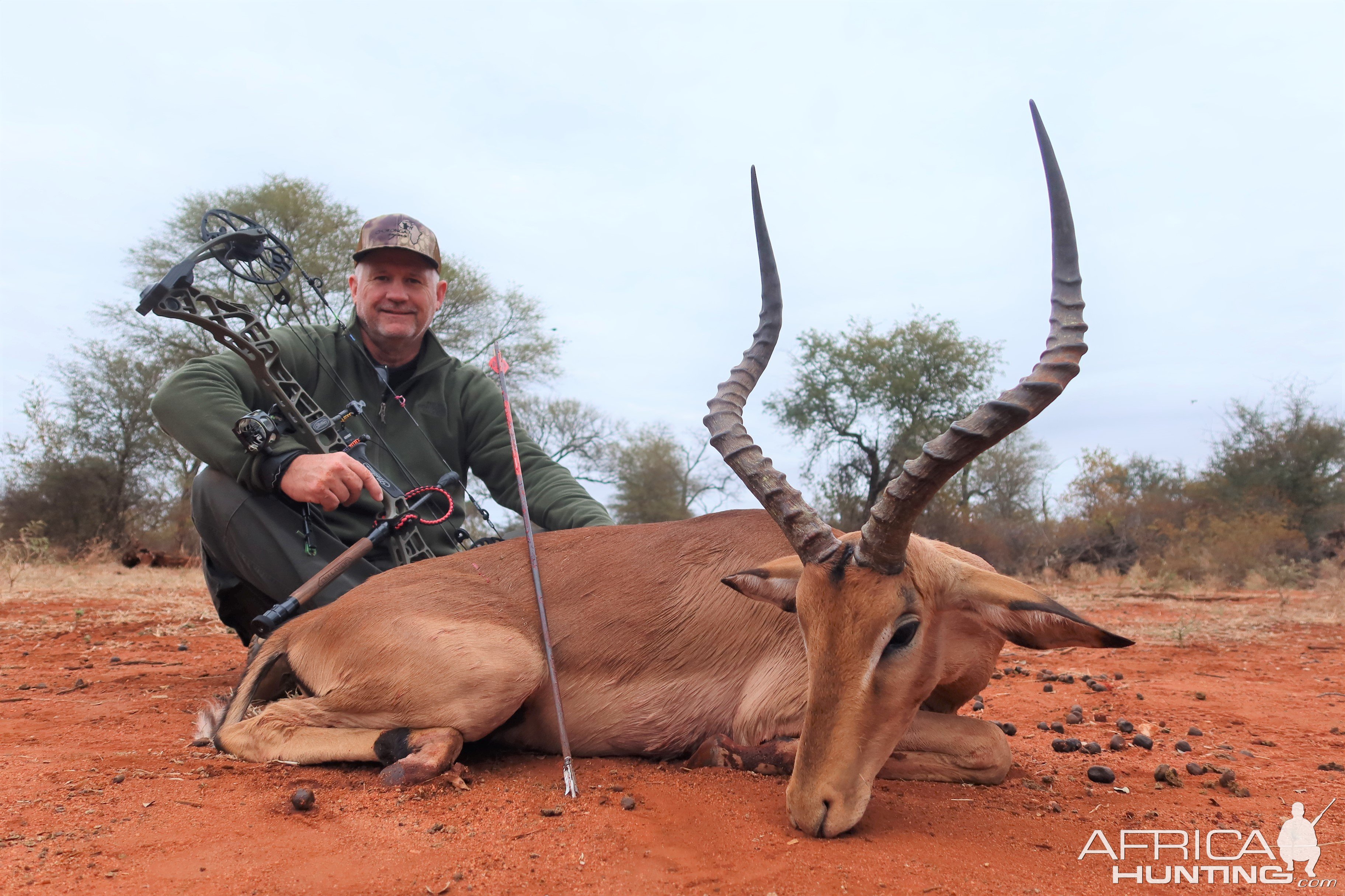 Impala Bow Hunting Botswana