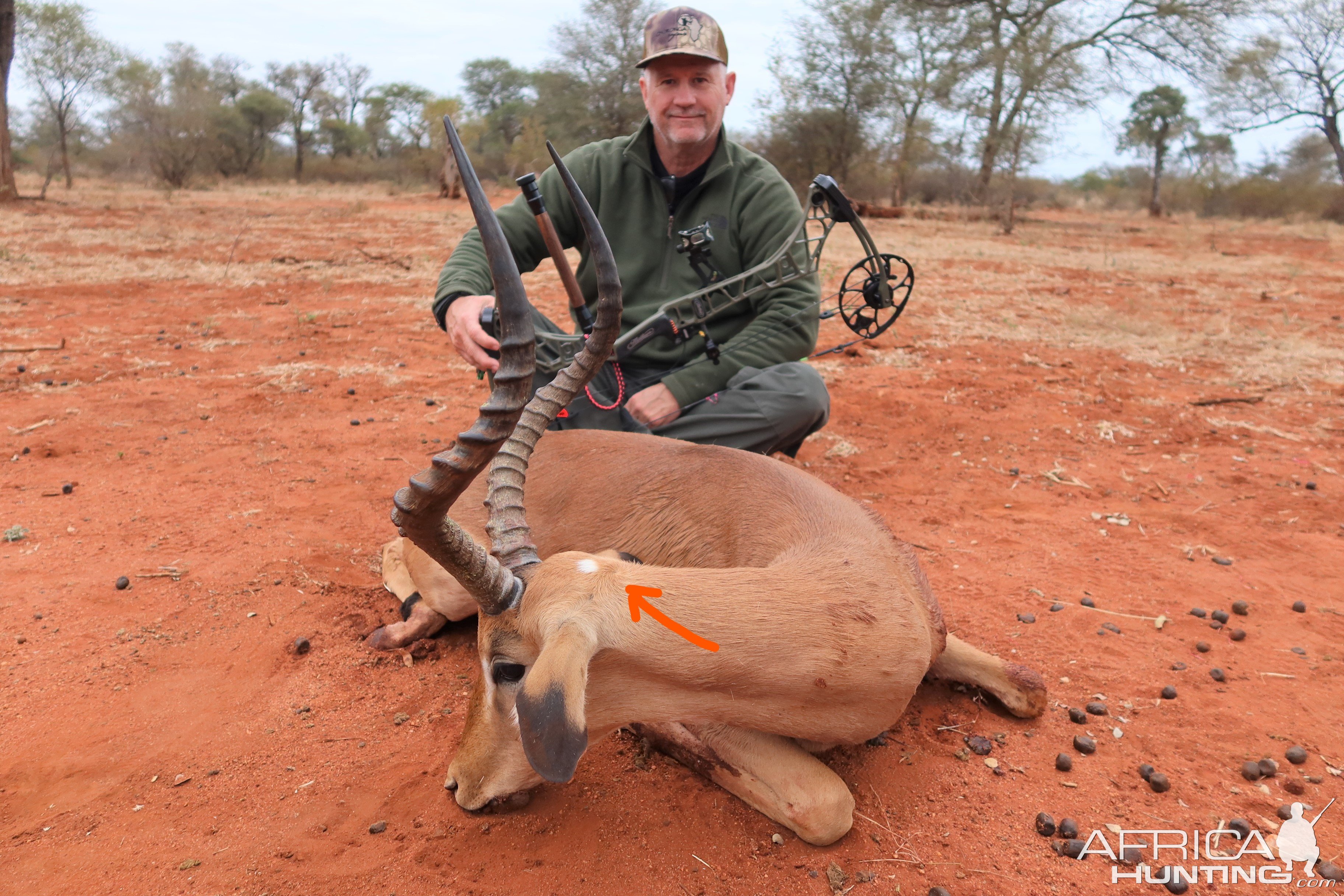 Impala Bow Hunting Botswana