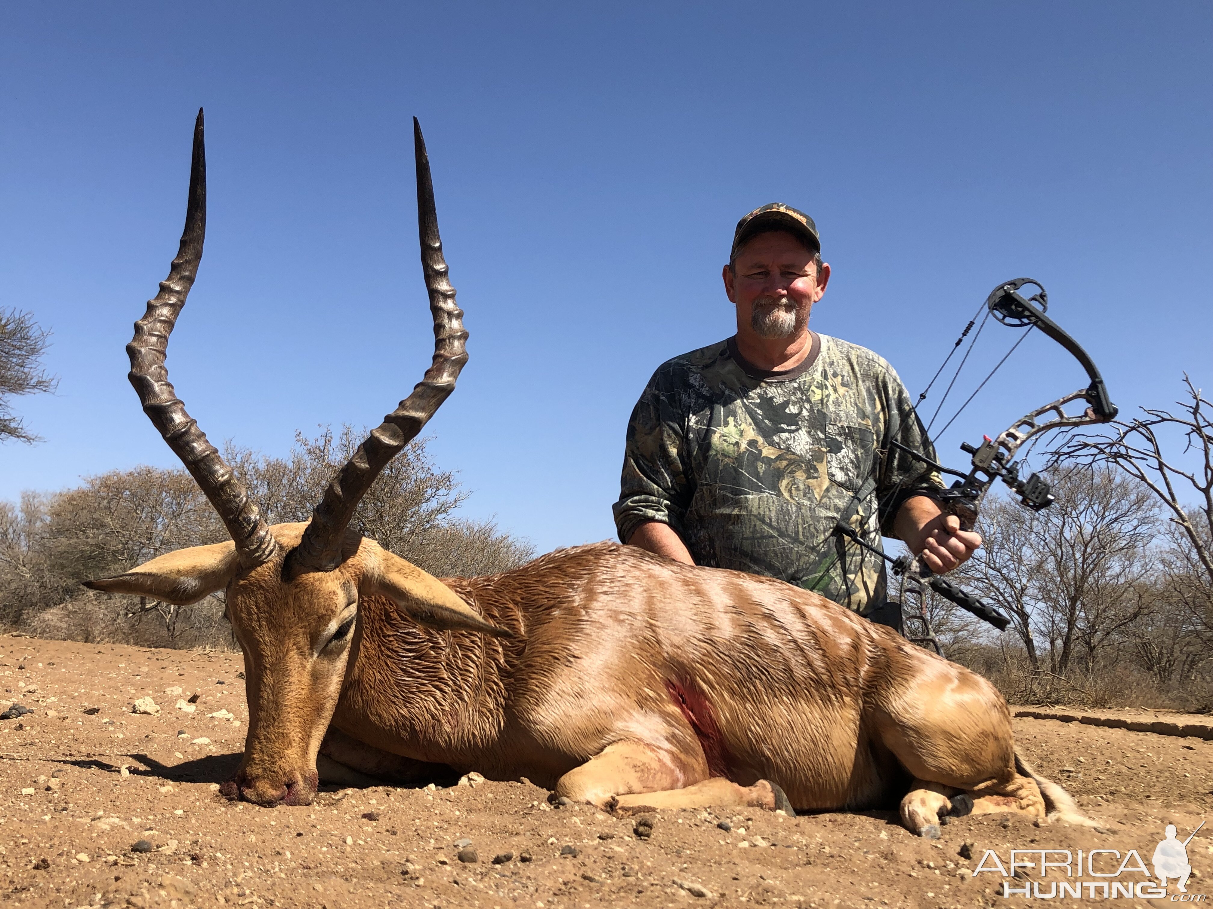 Impala Bow Hunting South Africa