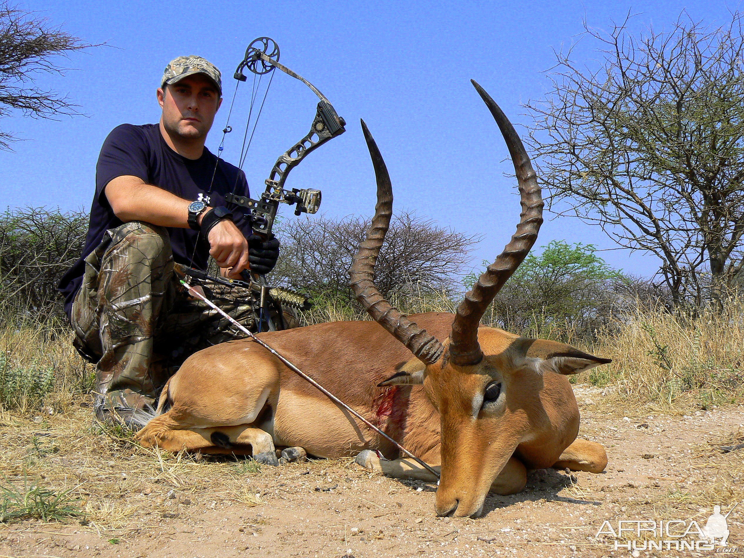 Impala bowhunted at Ozondjahe Hunting Safaris Namibia