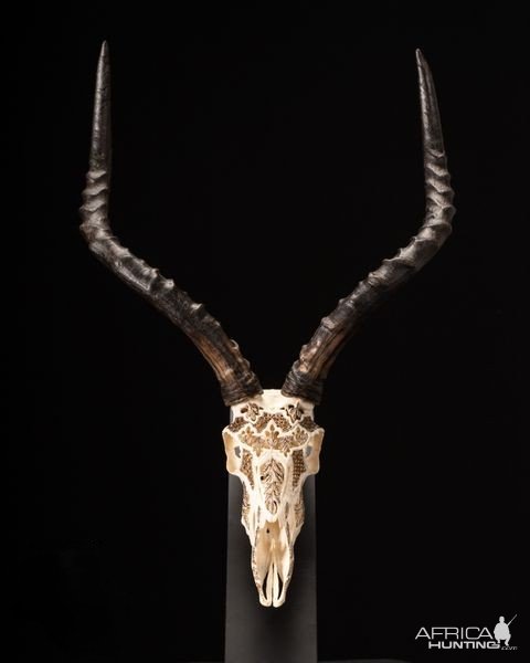 Impala Carved Skull With Bronze Finish