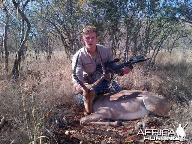 impala crossbow hunt