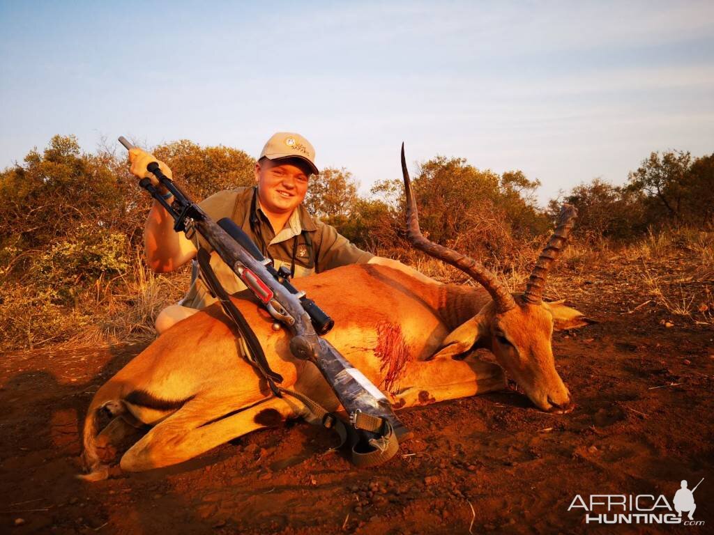 Impala Cull Hunting South Africa