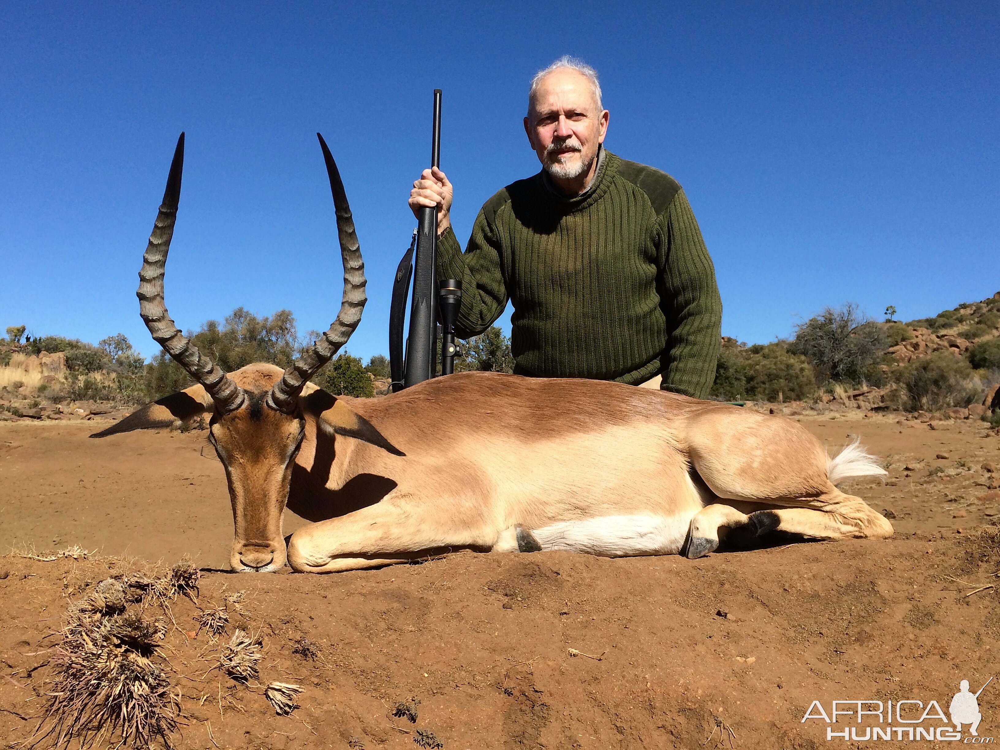 Impala, Eastern Cape South Africa July 2017